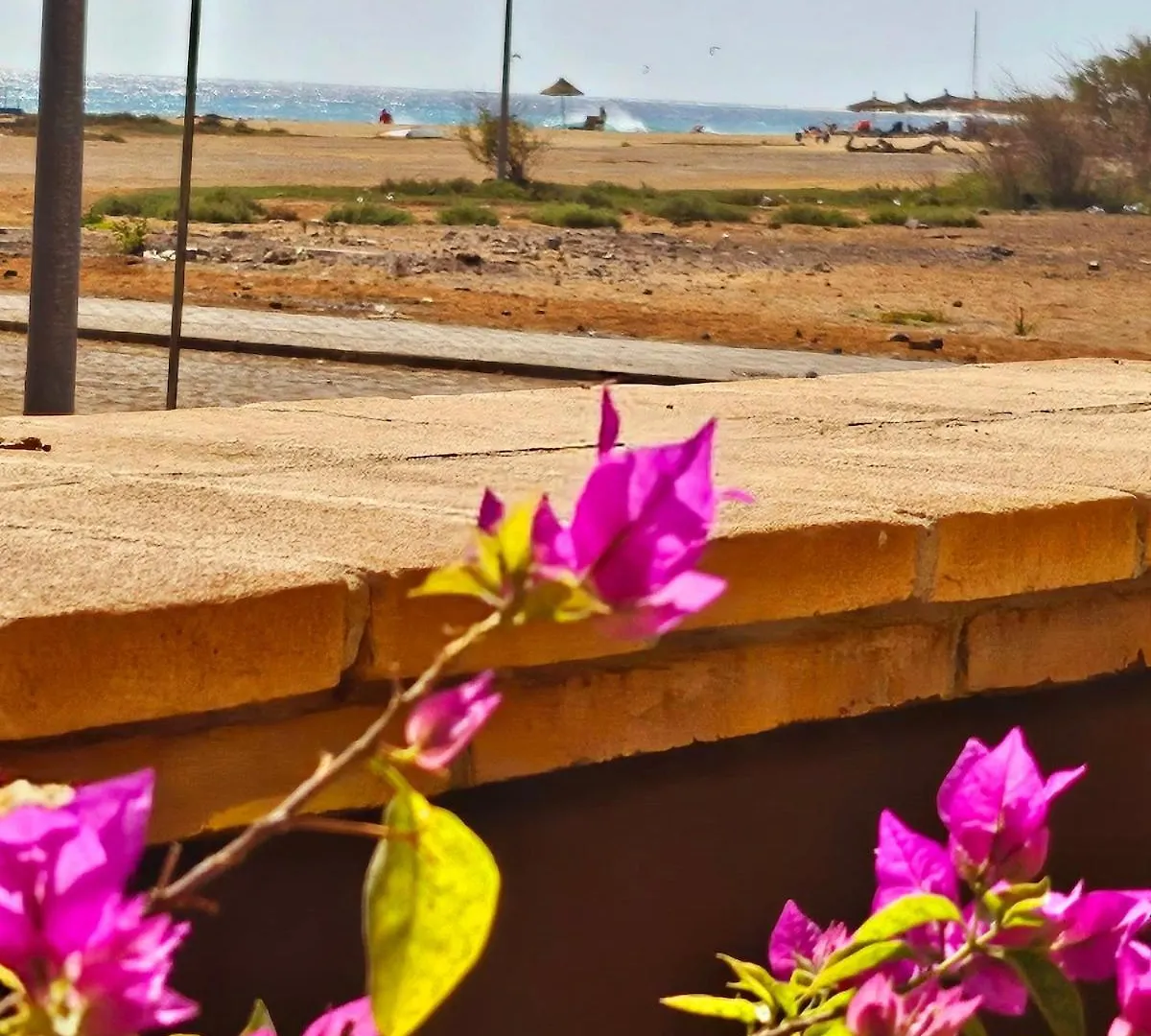 Magnolia Apartamento Santa Maria